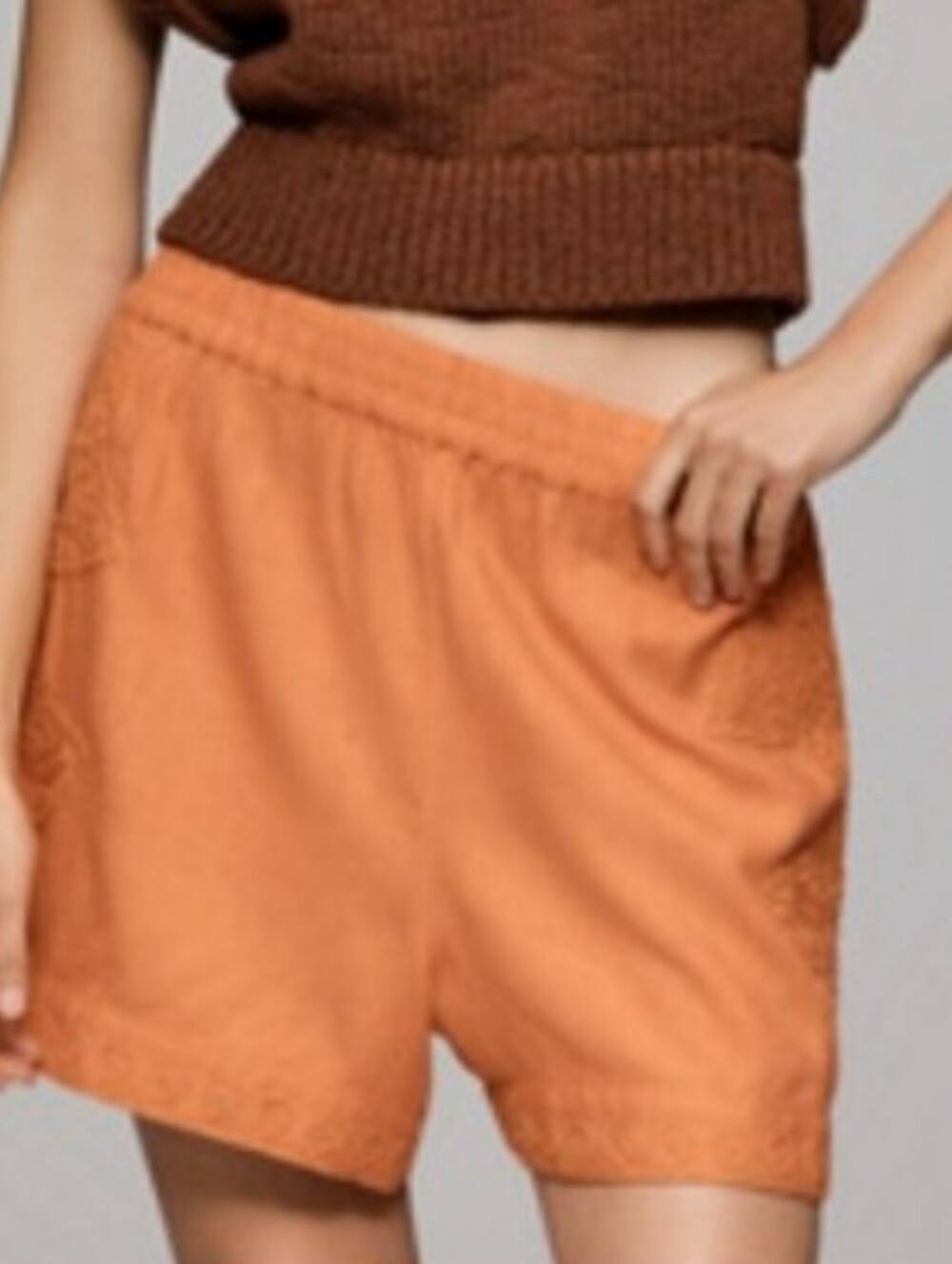 NWT Ollari Cutwork Pull-On Shorts